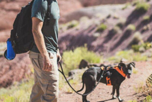 quinn_miller_500x500